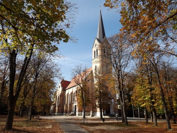 Kisboldogasszony Bazilika Plébánia